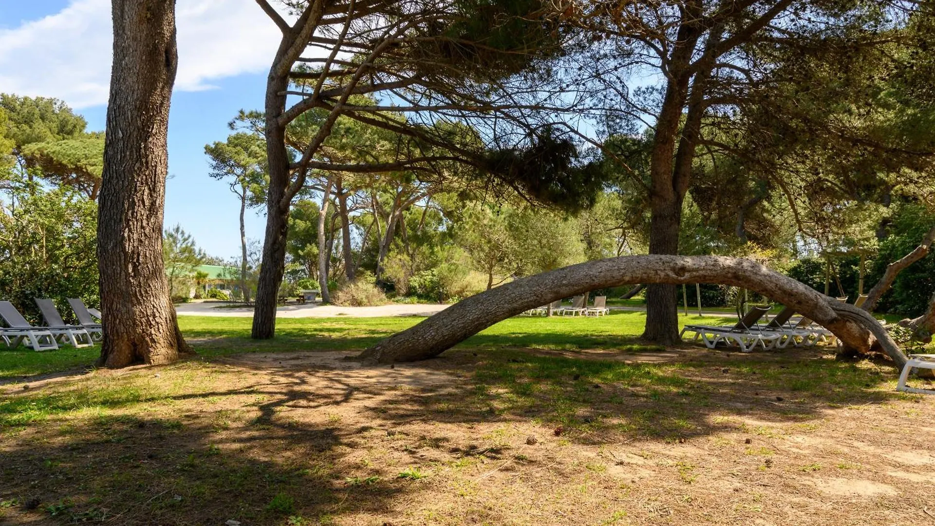 Appartamento Le studio de giens Hyères